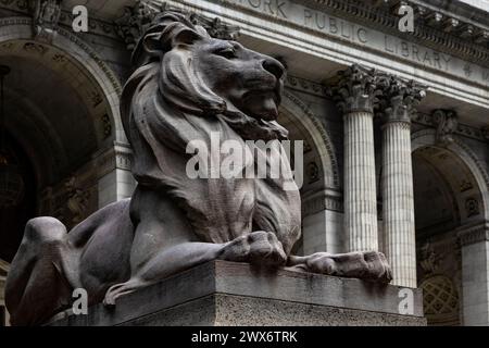 New York, USA; June 4, 2023: Patience one of the marble lions guarding the New York library in the background which contains a wealth of books and has Stock Photo