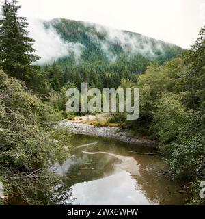 Looking down at a river from a bridge, distant mountains with fog and reflections of the trees in the river water. Stock Photo