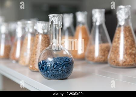 Samples of  encrustied and processed grains in a glass test tubes in agrochemistry lab. Stock Photo