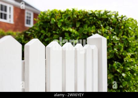 White picket fence and tidy green hedge with blurred out unidentifiable house in the background Stock Photo