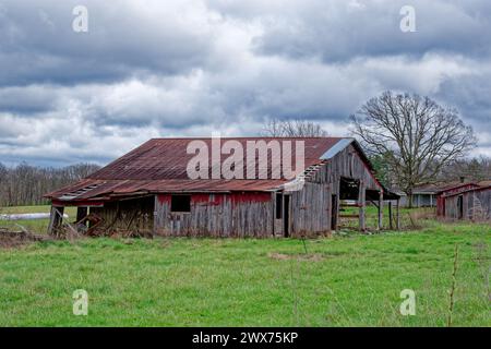 A falling apart faded red painted wood siding with a red rusty metal roof abandoned barn in the grassy farm field on a cloudy day in early springtime Stock Photo