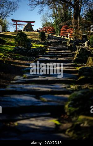 Erfurt , 280324 , egapark Erfurt Im Bild: Japanischen Garten *** Erfurt , 280324 , egapark Erfurt In the picture Japanese Garden Stock Photo