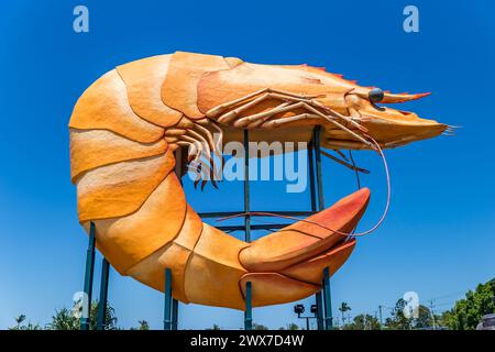 Big Prawn Sculpture and Tourist Attraction of Ballina, New South Wales, Australia. Stock Photo