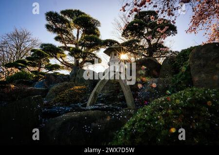 Erfurt , 280324 , egapark Erfurt Im Bild: Japanischen Garten *** Erfurt , 280324 , egapark Erfurt In the picture Japanese Garden Stock Photo