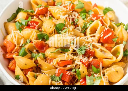 Italian Homemade Chonchiglie Pasta with Tomato and Basil Stock Photo