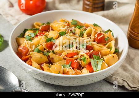 Italian Homemade Chonchiglie Pasta with Tomato and Basil Stock Photo