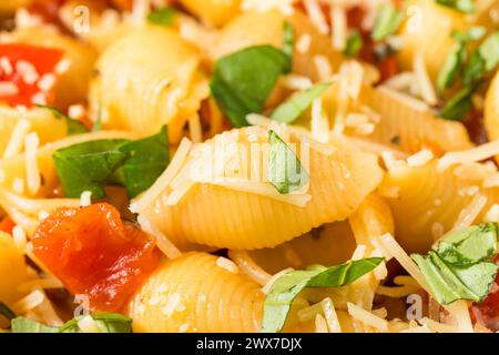 Italian Homemade Chonchiglie Pasta with Tomato and Basil Stock Photo