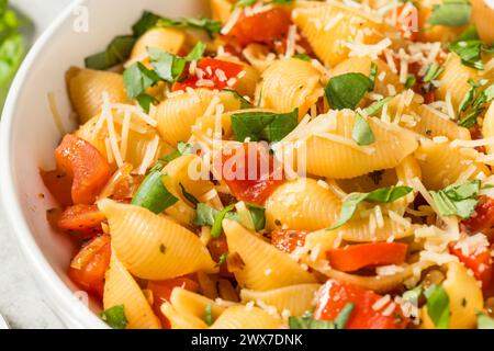 Italian Homemade Chonchiglie Pasta with Tomato and Basil Stock Photo