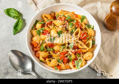 Italian Homemade Chonchiglie Pasta with Tomato and Basil Stock Photo