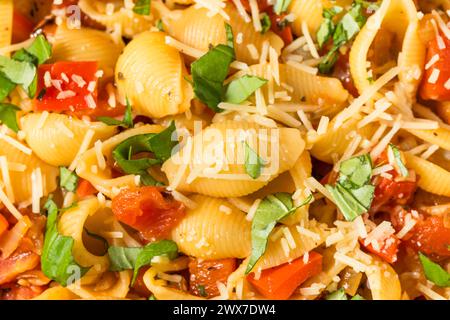 Italian Homemade Chonchiglie Pasta with Tomato and Basil Stock Photo