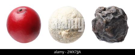 Aromatic spices. Different types of peppercorns isolated on white, set Stock Photo