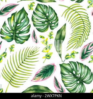 Watercolor blooming seamless pattern with pink Calathea stromanta and tropical leaves of monstera, eucalyptus and date palm. Botanical tropical seamle Stock Photo