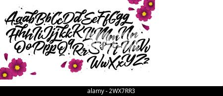 Vector hand drawn alphabet isolated on white background. Brush painted letters. Decorative  artistic font. Stock Vector