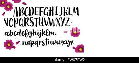 Vector hand drawn alphabet isolated on white background. Brush painted letters. Decorative  artistic font. Stock Vector
