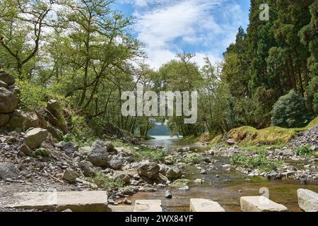 Crossing a stream on a path in the Jose de Canto Garden on San Miguel Island in the Azores Portugal Stock Photo