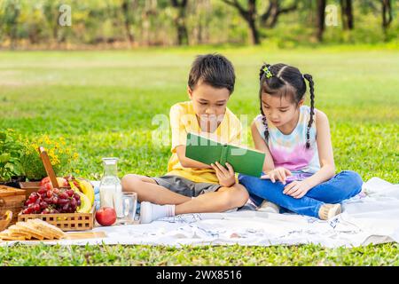 Two kids reading near a picnic basket on grass in park Stock Photo