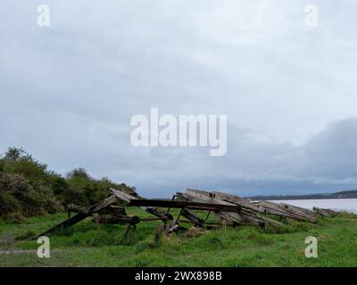 March 2024 - Purton Hulks, Ships graveyard in Gloucestershire, England, UK. Stock Photo