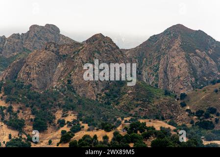 A close shot of the gray mountain peaks, trees and grass in the foothills at Malibu Creek State Park in Calabasas, California. Credit: Erik Morgan Stock Photo