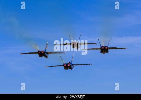 El Centro, Ca, USA. 1st Mar, 2024. March 01, 2024-El Centro, CA: Blue Angels rehearse precision aerobatics before season debut, showcasing skill and teamwork in high-flying maneuvers. (Credit Image: © Ken Weisenberger/ASP) EDITORIAL USAGE ONLY! Not for Commercial USAGE! Stock Photo