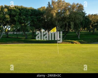 View of golf course with green grass and forest with beautiful putting green with rich green landscape Stock Photo