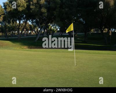 View of golf course with green grass and forest with beautiful putting green with rich green landscape Stock Photo