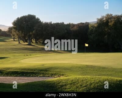 View of golf course with green grass and forest with beautiful putting green with rich green landscape Stock Photo