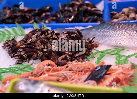 different species of crustaceans in the fishmonger Stock Photo