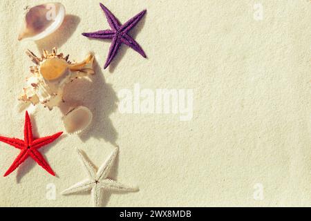 Seashells and colored starfish on the sand. Summer background, free space for your decoration, flat lay. Stock Photo