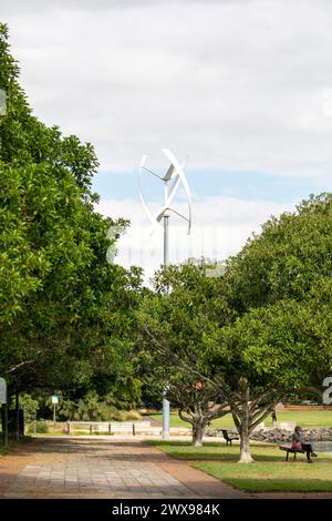 Glebe Annandale bicentennial park, part of the Glebe foreshore walk and links to Federal, Blackwattle Bay and Jubilee Parks in Sydney inner west, 2024 Stock Photo