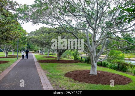 Glebe Annandale bicentennial park, part of the Glebe foreshore walk and links to Federal, Blackwattle Bay and Jubilee Parks in Sydney inner west, 2024 Stock Photo