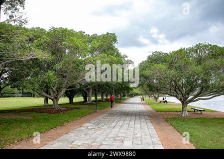 Glebe Annandale bicentennial park, part of the Glebe foreshore walk and links to Federal, Blackwattle Bay and Jubilee Parks in Sydney inner west, 2024 Stock Photo