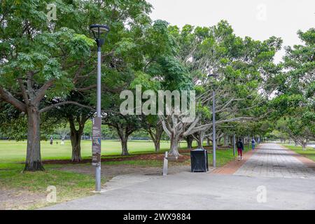 Glebe Annandale bicentennial park, part of the Glebe foreshore walk and links to Federal, Blackwattle Bay and Jubilee Parks in Sydney inner west, 2024 Stock Photo