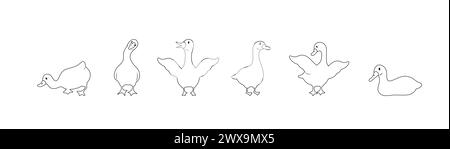 Set of linear gooses silhouette. Domestic and wild ducks on white background. Agriculture birds on farm. Rural wildlife. Hand drawn print. Vector Stock Vector