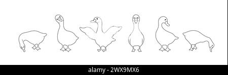 Set of linear gooses silhouette. Domestic and wild ducks on white background. Agriculture birds on farm. Rural wildlife. Hand drawn print. Vector Stock Vector