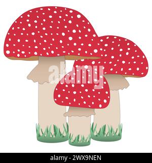 Three red fly agaric in the grass, elements, fall. Vector color drawing Stock Vector