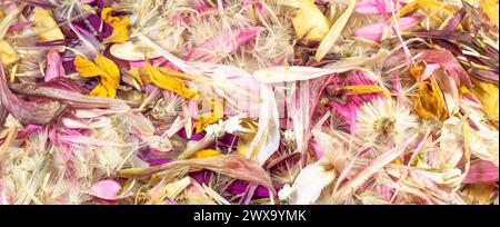 A closeup of a bunch of Dried flowers and petals Stock Photo