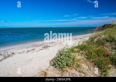 An overlooking view in North Carolina, Outer Banks Stock Photo