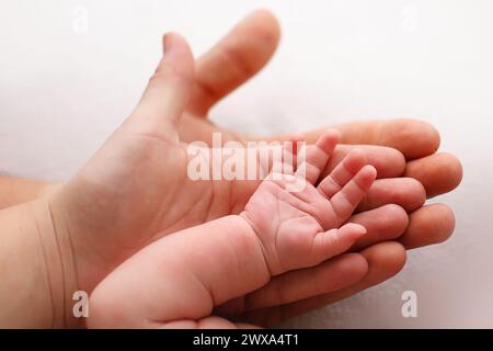 Adult hand cradling a tiny baby hand gently Stock Photo