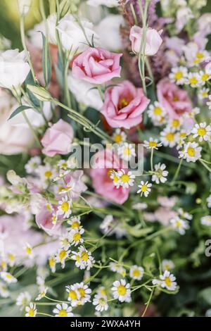 Vibrant mixed flowers in full bloom Stock Photo