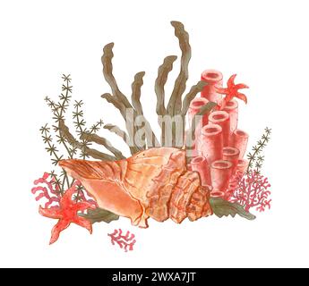 Aquarium composition with pebble and sea sponge. Watercolor hand drawn ...