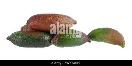 Fresh finger limes isolated on white background. Caviar lime. Fruits pods. Clipping path Stock Photo