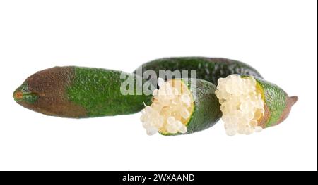 Fresh finger limes isolated on white background. Caviar lime. Fruits pods. Clipping path Stock Photo