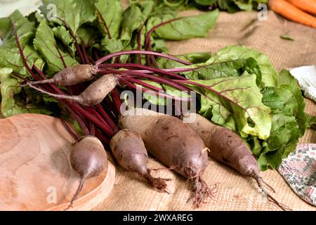 In the picture, a slide on the table is the fruits of red beets with yoghurt. Stock Photo