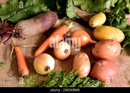 In the close-up picture, ripe fruits, beets, carrots, potatoes, onions and leaves of tops lie on the fabric. Stock Photo