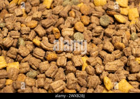 Dry food for kittens and cats close-up. A complete cat diet Stock Photo ...