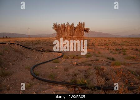 straw house in agricultural field in rural area in summer evening. that's a great view.  Fars Province, Iran Stock Photo