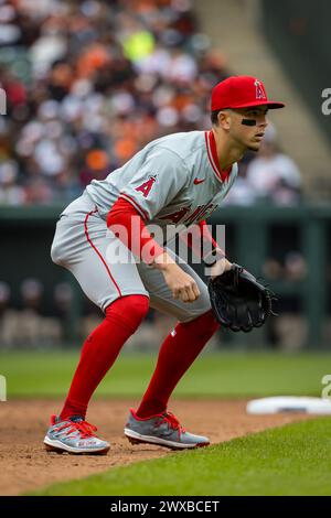 Baltimore, Maryland, USA. 28th Mar, 2024. Los Angeles Angels shortstop Zach Neto (9) in action during the opening day game between the Los Angeles Angels and Baltimore Orioles played at Oriole Park at Camden Yards in Baltimore, Maryland. Cory Royster/Cal Sport Media/Alamy Live News Stock Photo