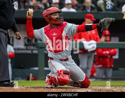 Baltimore, Maryland, USA. 28th Mar, 2024. Los Angeles Angels catcher Logan O'Hoppe (14) in action during the opening day game between the Los Angeles Angels and Baltimore Orioles played at Oriole Park at Camden Yards in Baltimore, Maryland. Cory Royster/Cal Sport Media/Alamy Live News Stock Photo