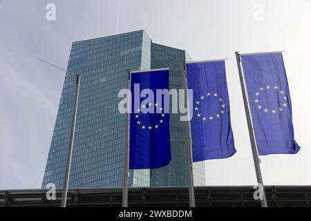 The new European Central Bank, ECB, European flags fly in front of a modern high-rise building with glass facade, Frankfurt am Main, Hesse, Germany Stock Photo
