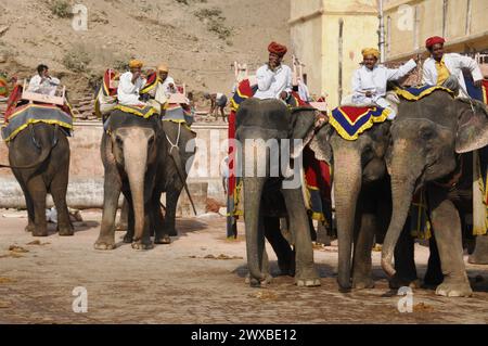 Riding elephants at Amber Fort, Amber, near Jaipur, Rajasthan, Elephants and mahouts in traditional jewellery line up for a procession, Rajasthan Stock Photo